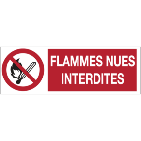 Panneau Picto + Texte Flammes Nues Interdites