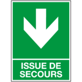 Panneau Issue de Secours en Bas