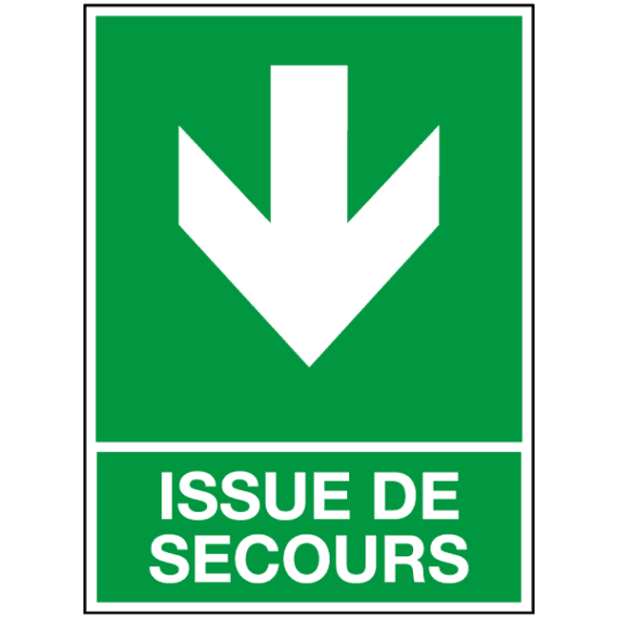 Panneau Issue de Secours en Bas