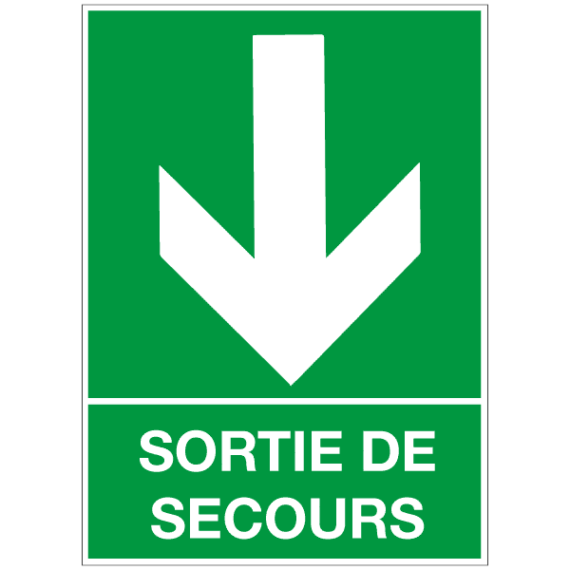 Panneau Sortie de Secours en Bas