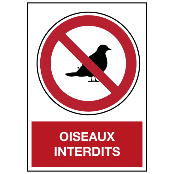 Panneau Oiseaux Interdits ISO 7010